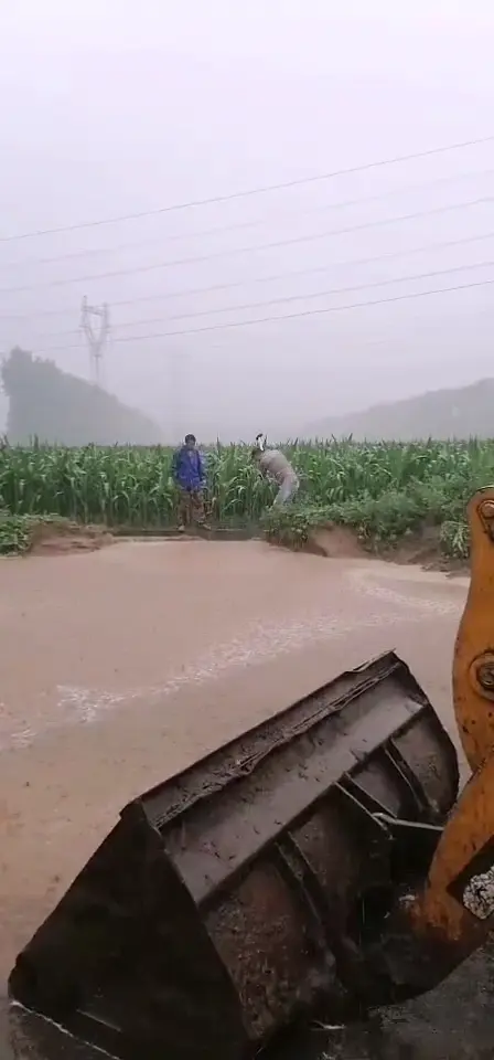 博農(nóng)乳業(yè)黨支部 黨員防汛搶險沖鋒在一線